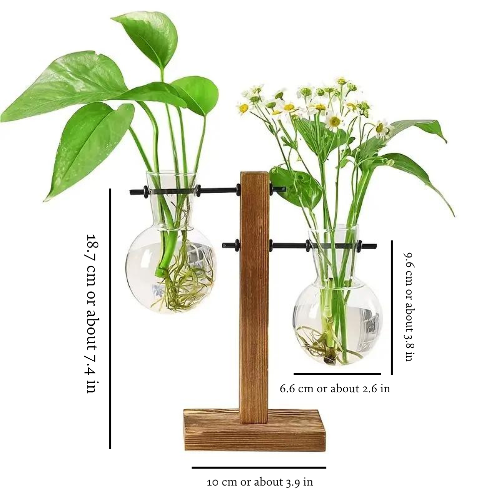 Houten Hydrocultuurplantenbak