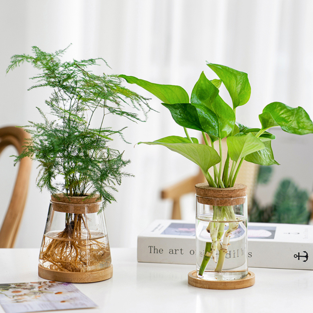 Glazen Vaas Planter