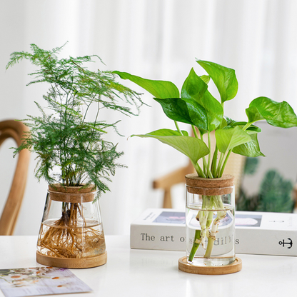 Glazen Vaas Planter