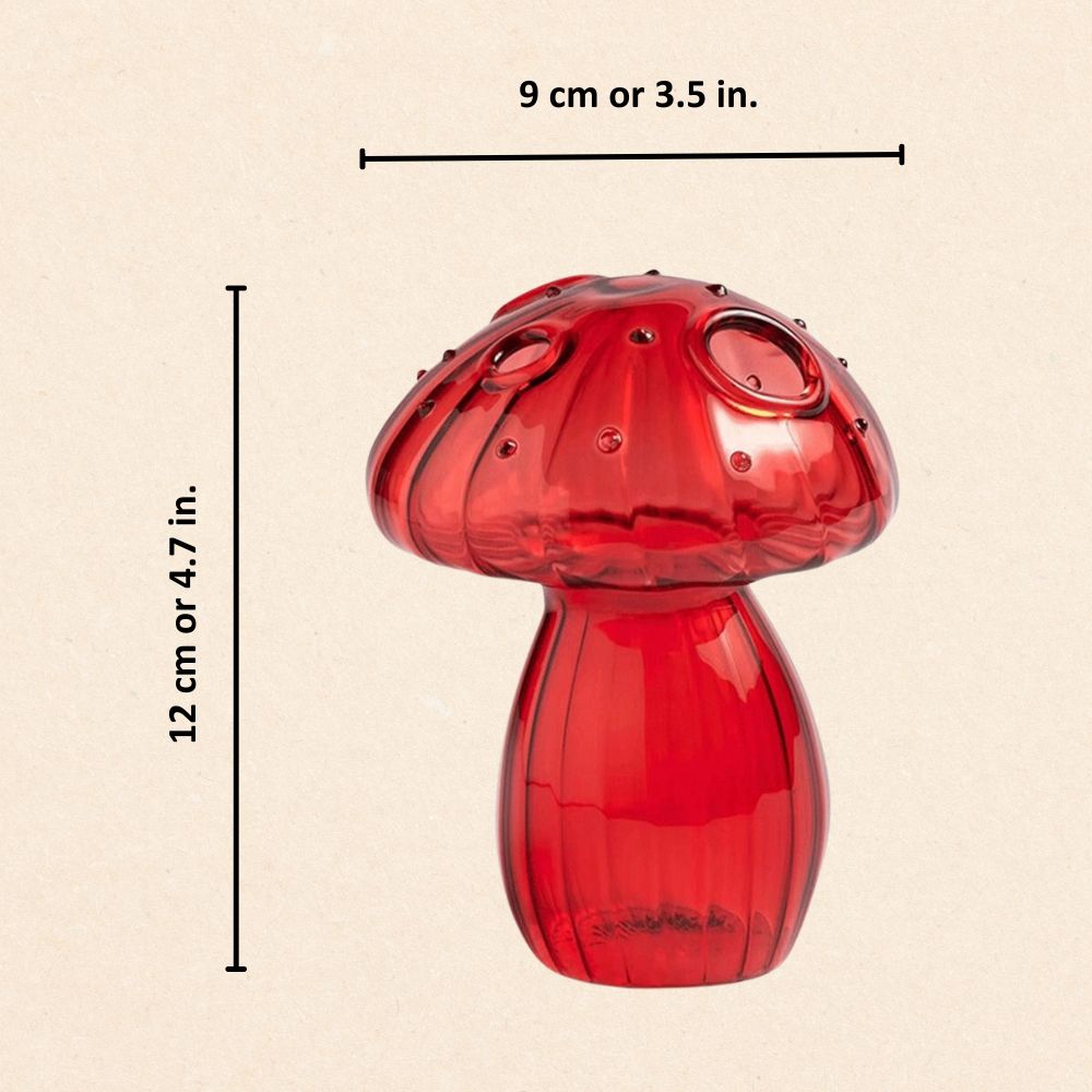 Levendige glazen vazen met paddenstoelen