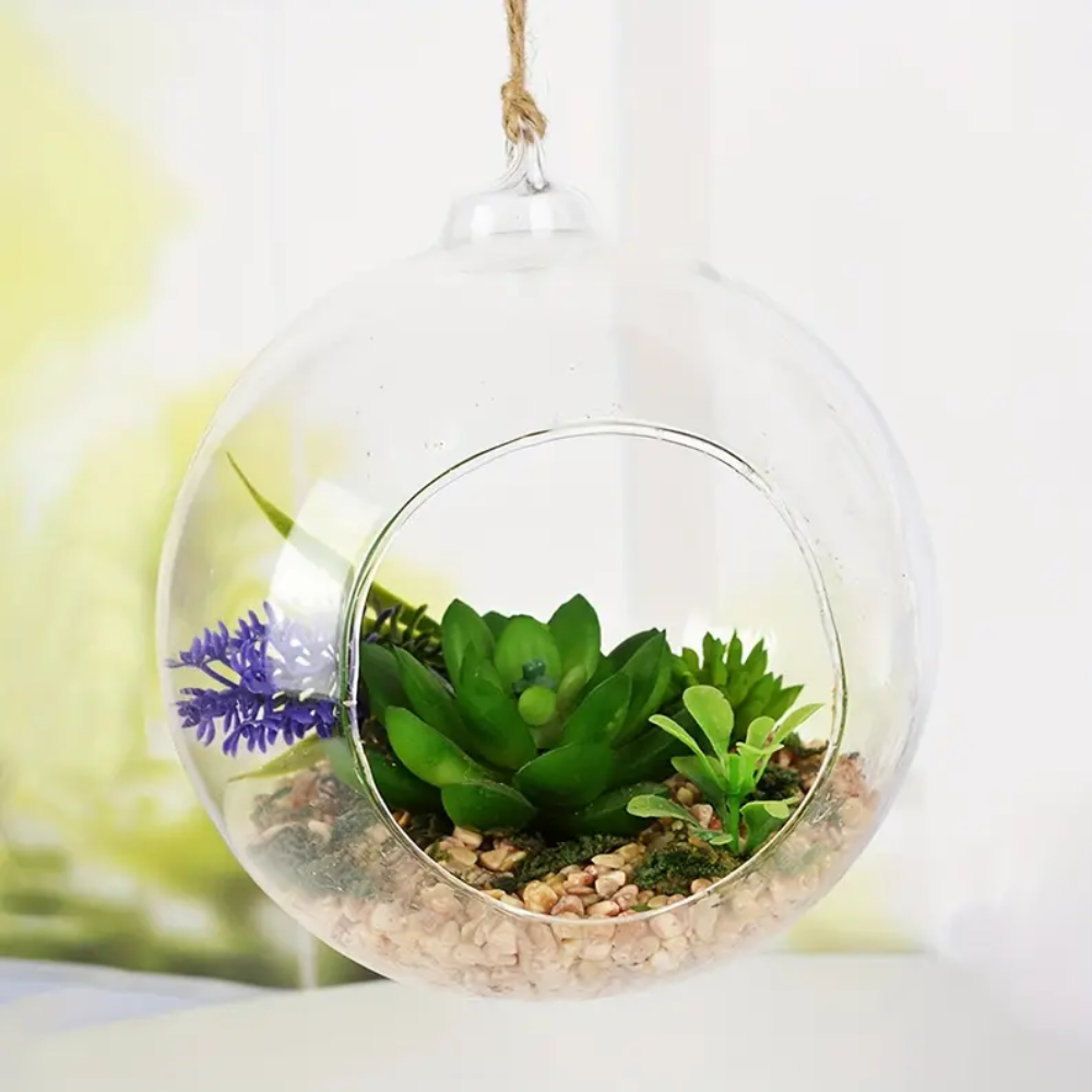 Rond Terrarium