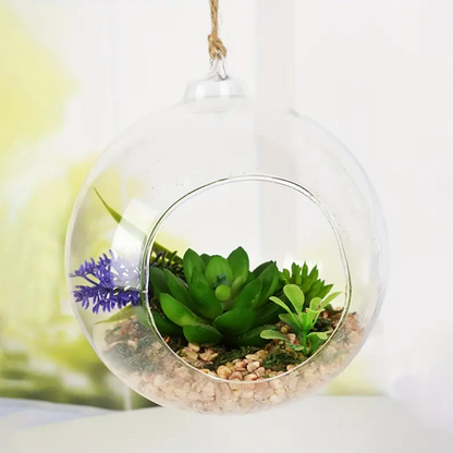 Rond Terrarium
