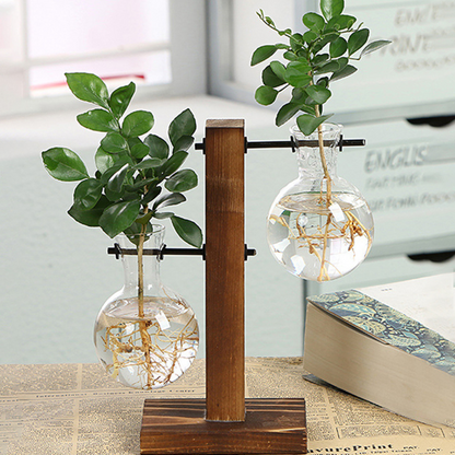 Houten Hydrocultuurplantenbak