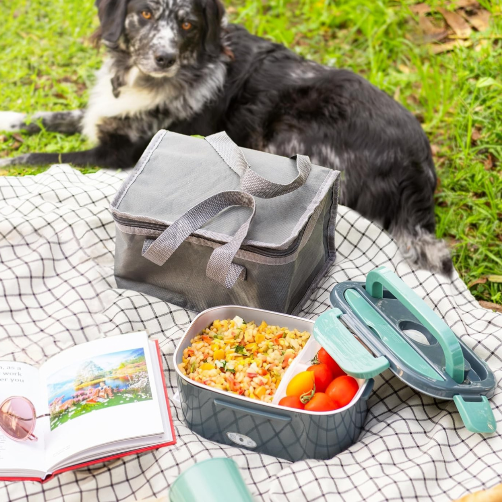 Draagbare Elektrische Lunchbox