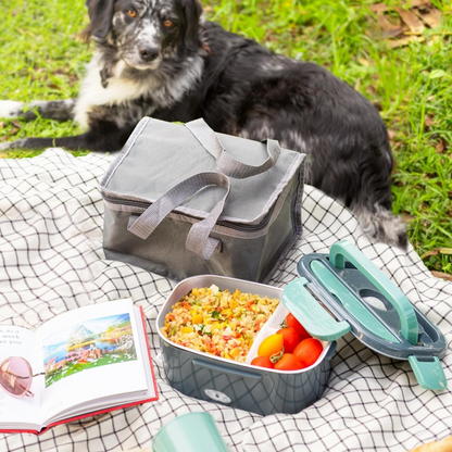 Draagbare Elektrische Lunchbox