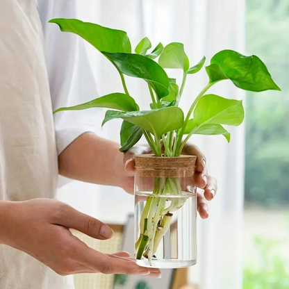 Glazen Vaas Planter