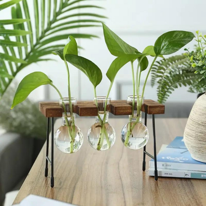 Hydroponische glazen plantenbak