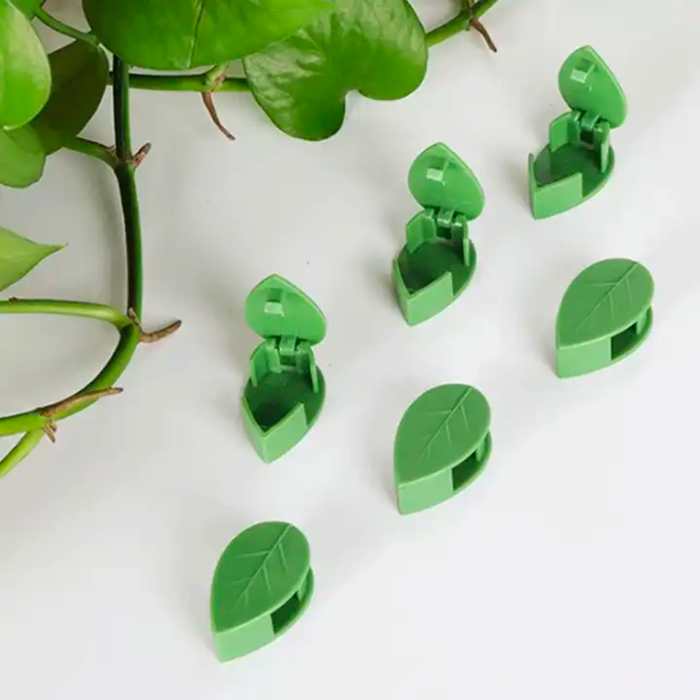 Plantenklemmen voor Klimplanten