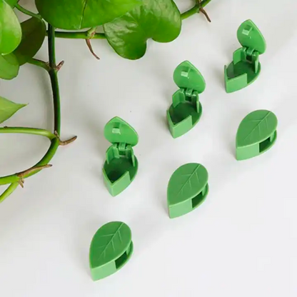 Plantenklemmen voor Klimplanten