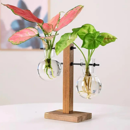 Houten Hydrocultuurplantenbak