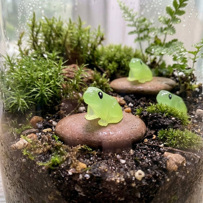 Glow-in-the-Dark Kikker Plantdecoratie