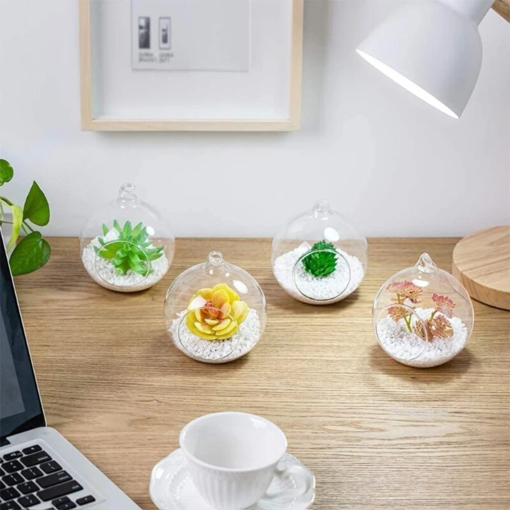 Rond Terrarium