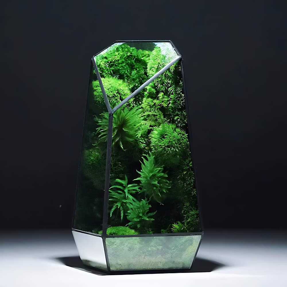 Mos Prism Terrarium