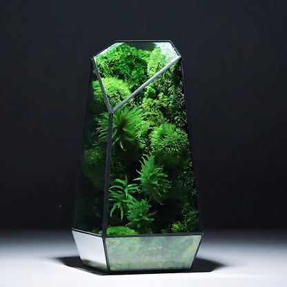 Mos Prism Terrarium