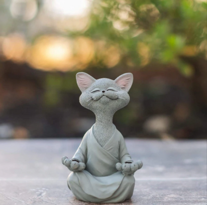 Meditating Kattenbeeldje