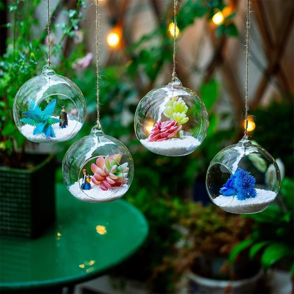 Rond Terrarium