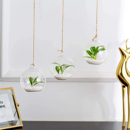 Rond Terrarium