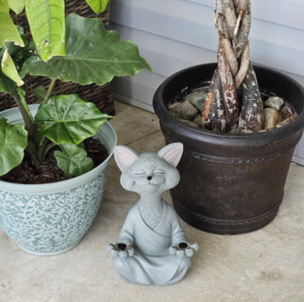 Meditating Kattenbeeldje