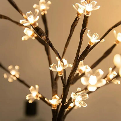 Verlichting van de kersenbloesemboom