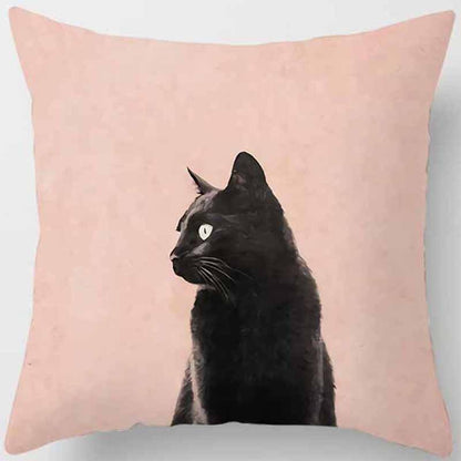 Kussenhoezen met katten