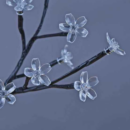 Verlichting van de kersenbloesemboom