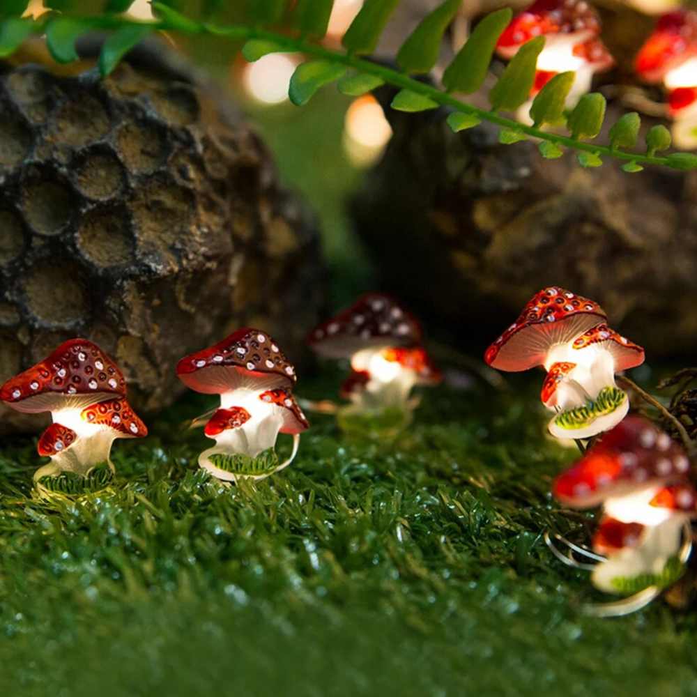 Paddenstoelen Lichtslinger
