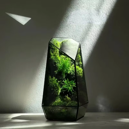 Mos Prism Terrarium