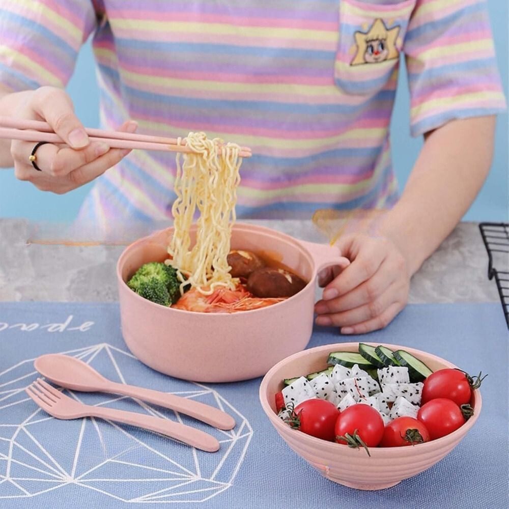 Ramen Kommenset 'Delight'