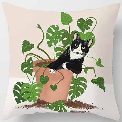 Kussenhoezen met katten