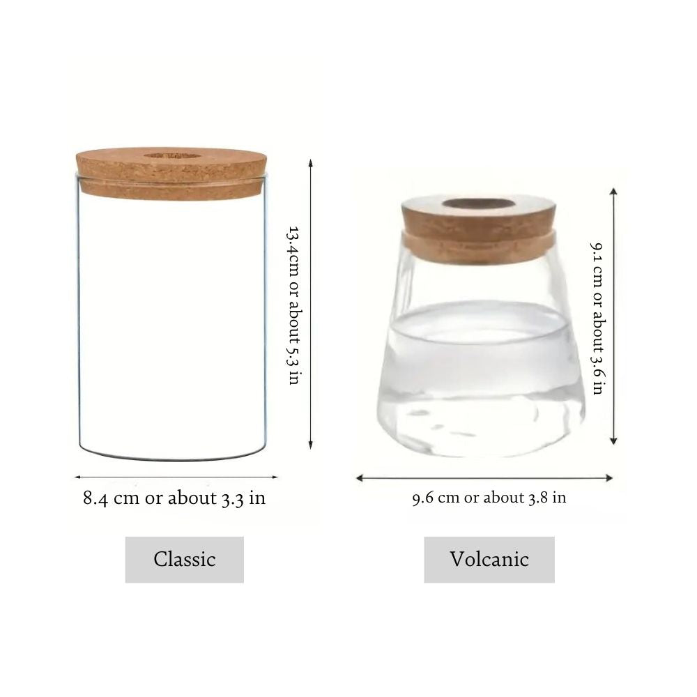 Glazen Vaas Planter