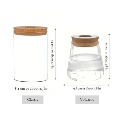 Glazen Vaas Planter
