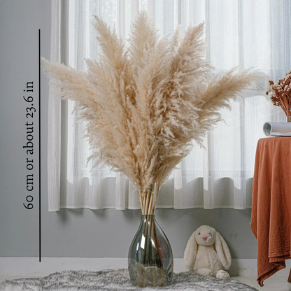 Pampasgras Boeket (set van 5)