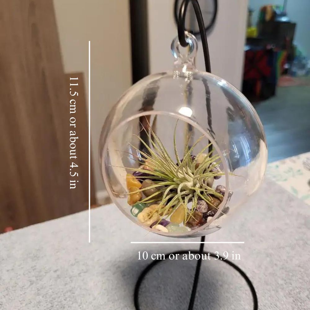Rond Terrarium