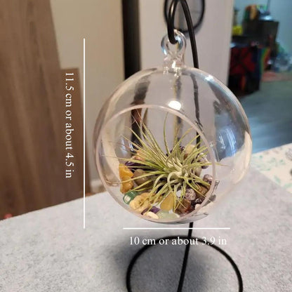 Rond Terrarium