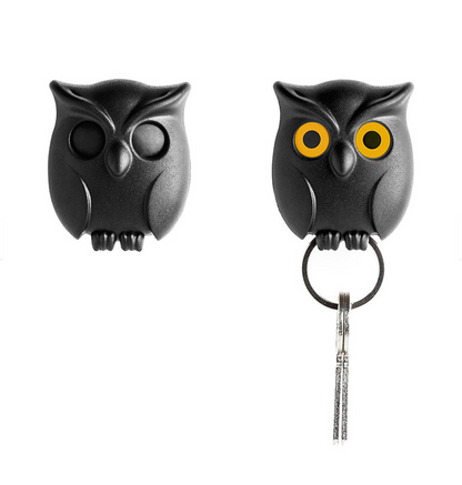 Leuke Uil Magnetische Sleutelhouder