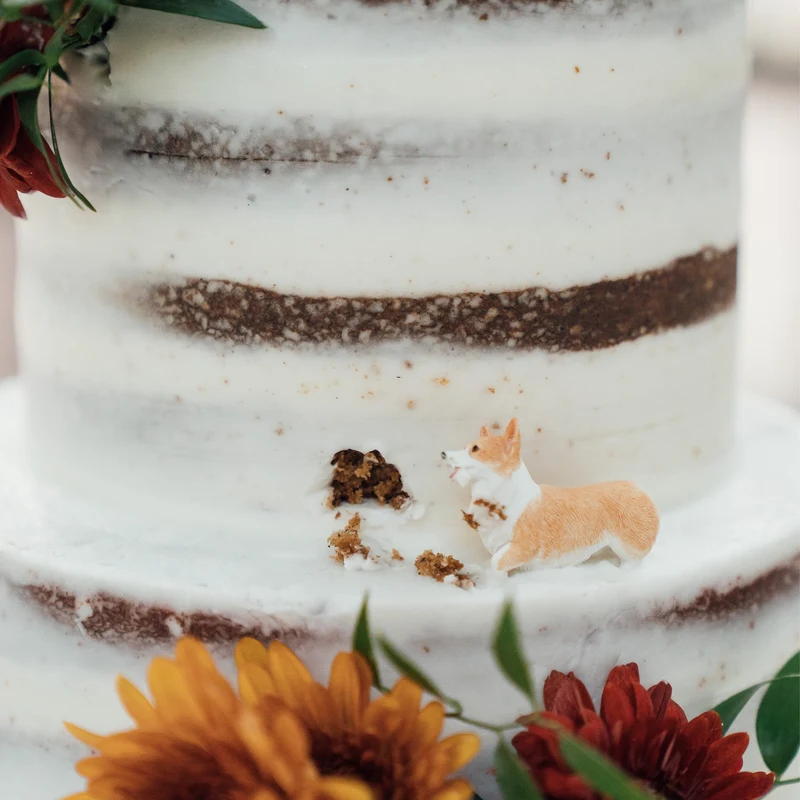 Mini Corgi Decoratie