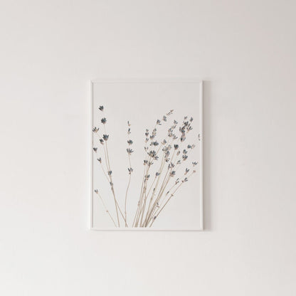 Botanische Canvas Schilderijen (3 Stuks)