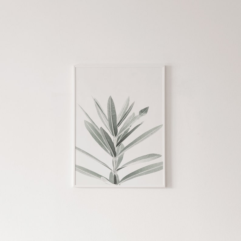 Botanische Canvas Schilderijen (3 Stuks)