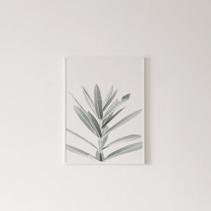 Botanische Canvas Schilderijen (3 Stuks)