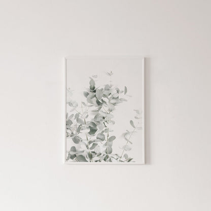 Botanische Canvas Schilderijen (3 Stuks)
