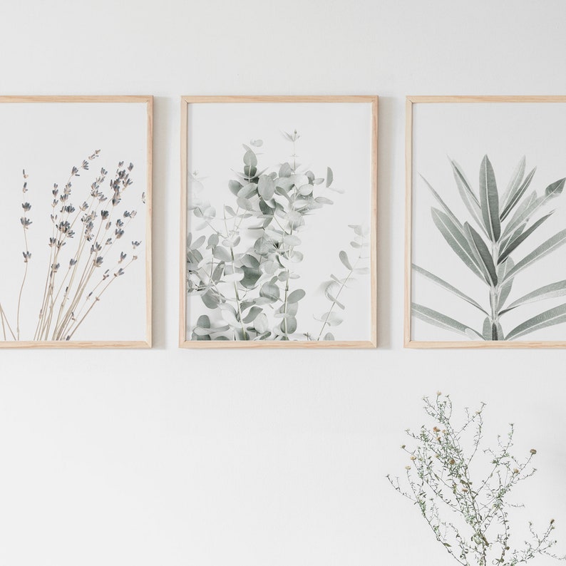 Botanische Canvas Schilderijen (3 Stuks)