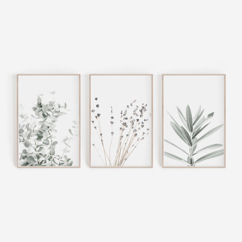 Botanische Canvas Schilderijen (3 Stuks)
