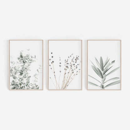 Botanische Canvas Schilderijen (3 Stuks)